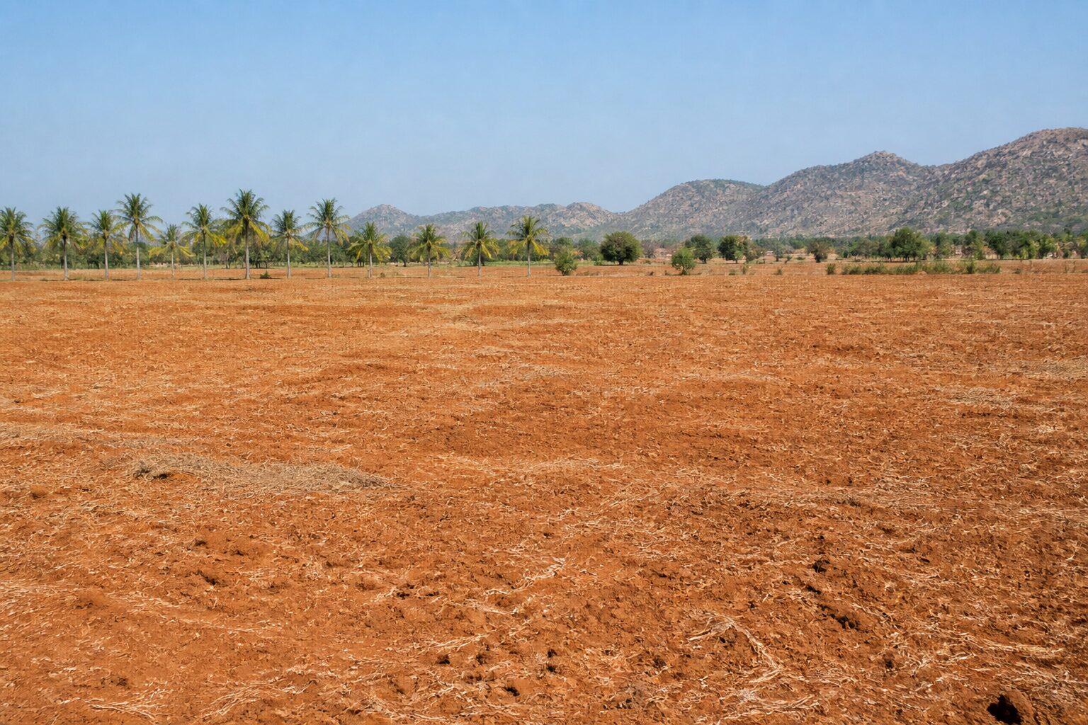 Agricultural Land